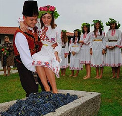 Bulgaria Wine