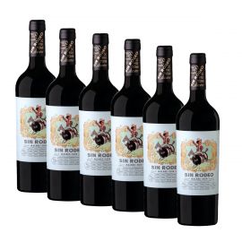 6 Flaschen Sin Rodeo Malbec