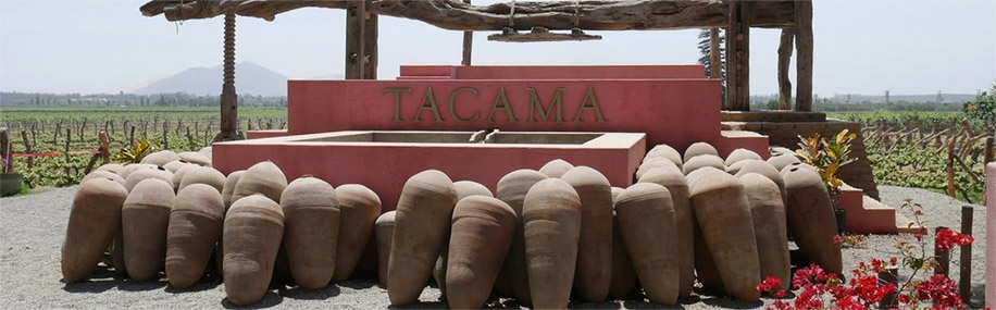 Wine production at Peru